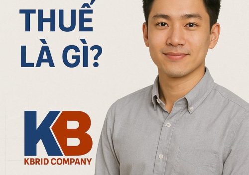 Kế toán thuế: Vai trò, công việc và kỹ năng cần thiết