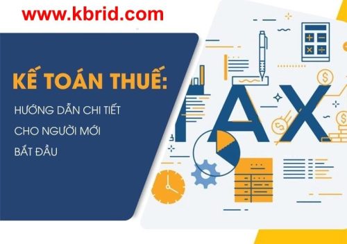 Hướng dẫn làm kế toán thuế cơ bản